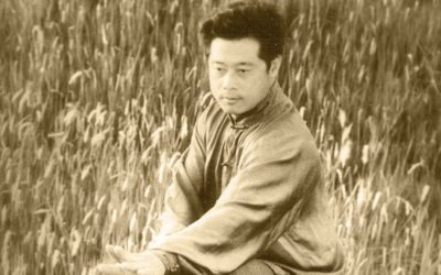 Tai Chi Joint Locks with Master Ding Ming Ye