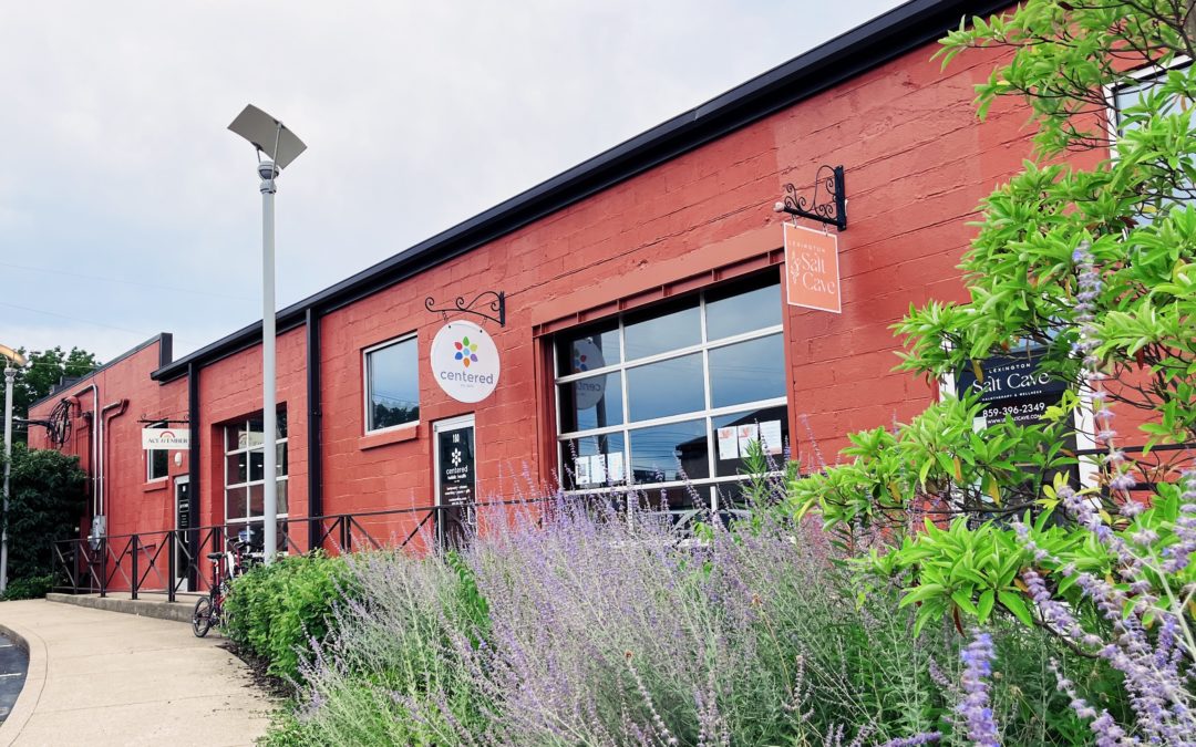 photo of 309 N Ashland Ave and the doors of the Lexington Salt Cave, Centered, and Ace and Ember